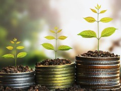 RRSP Basics: Questions Answered